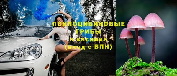 спайс Магас