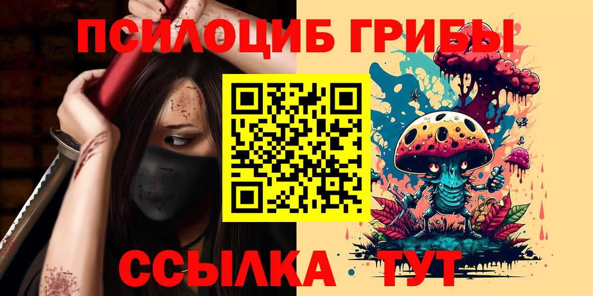 Псилоцибиновые грибы GOLDEN TEACHER Ступино