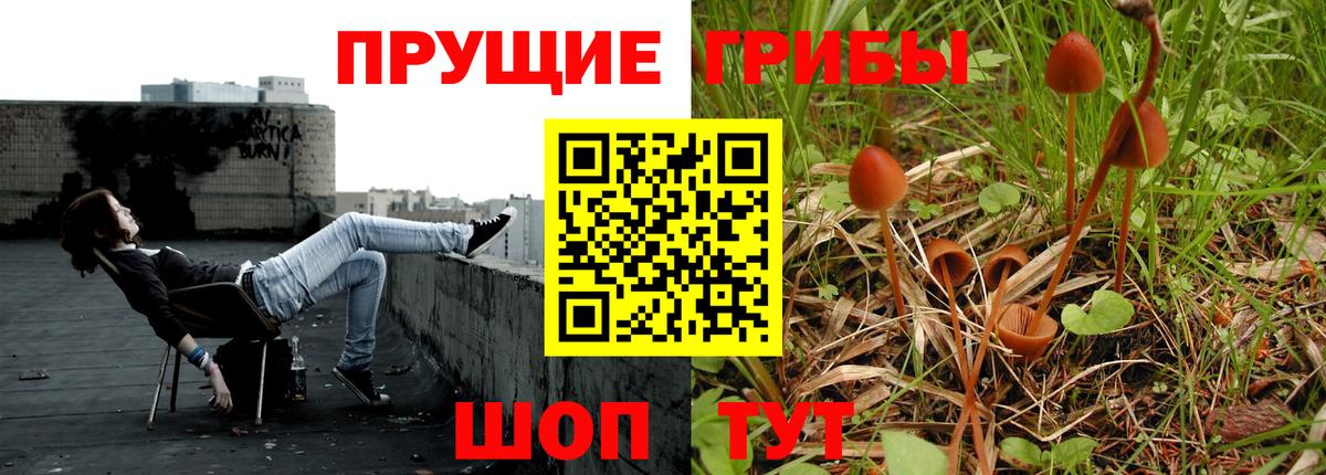 Галлюциногенные грибы ЛСД Ступино
