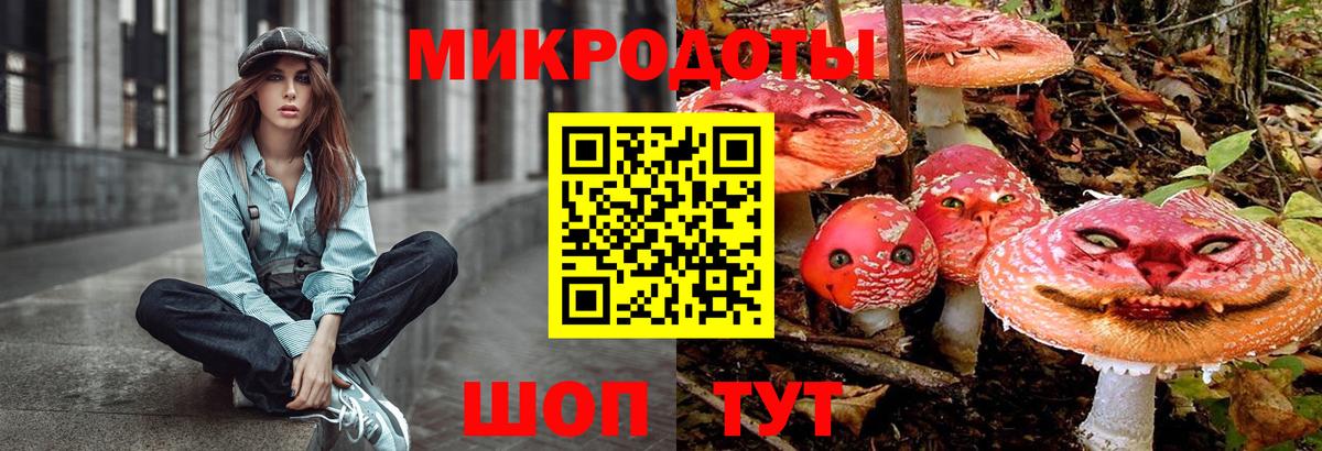 Галлюциногенные грибы Psilocybe  Вход с VPN  Ступино 