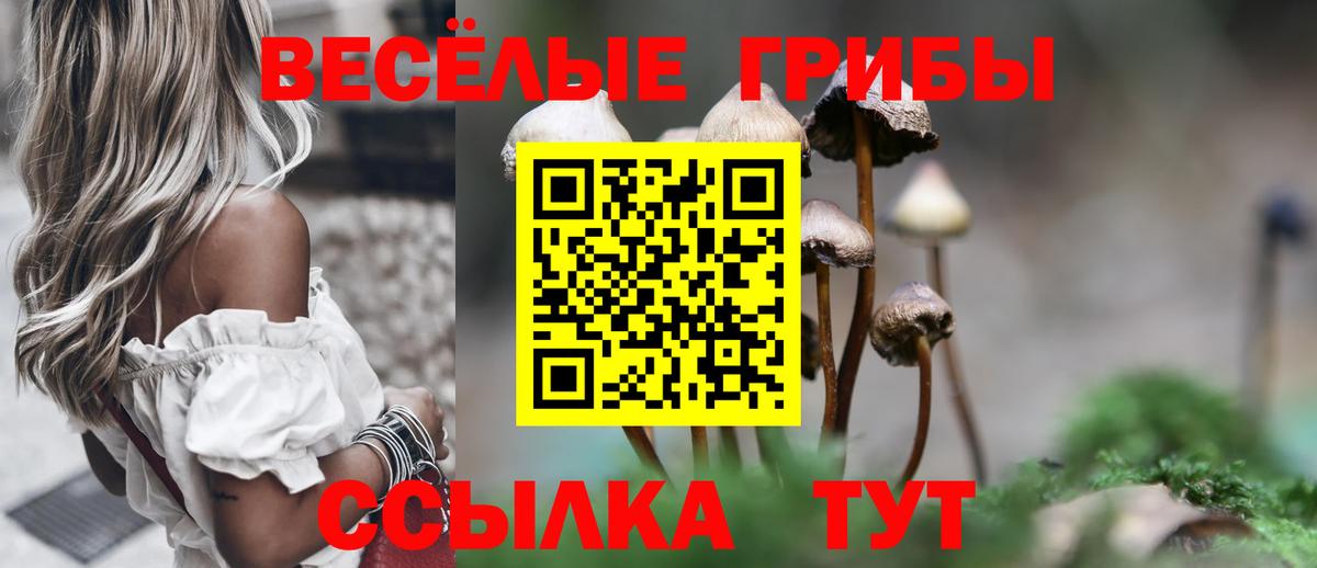 где найти   Галлюциногенные грибы Psilocybine cubensis  Галлюциногенные грибы мицелий  Вход с VPN  Ступино 